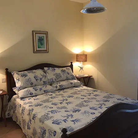 Margothouse White Blue Arancio *